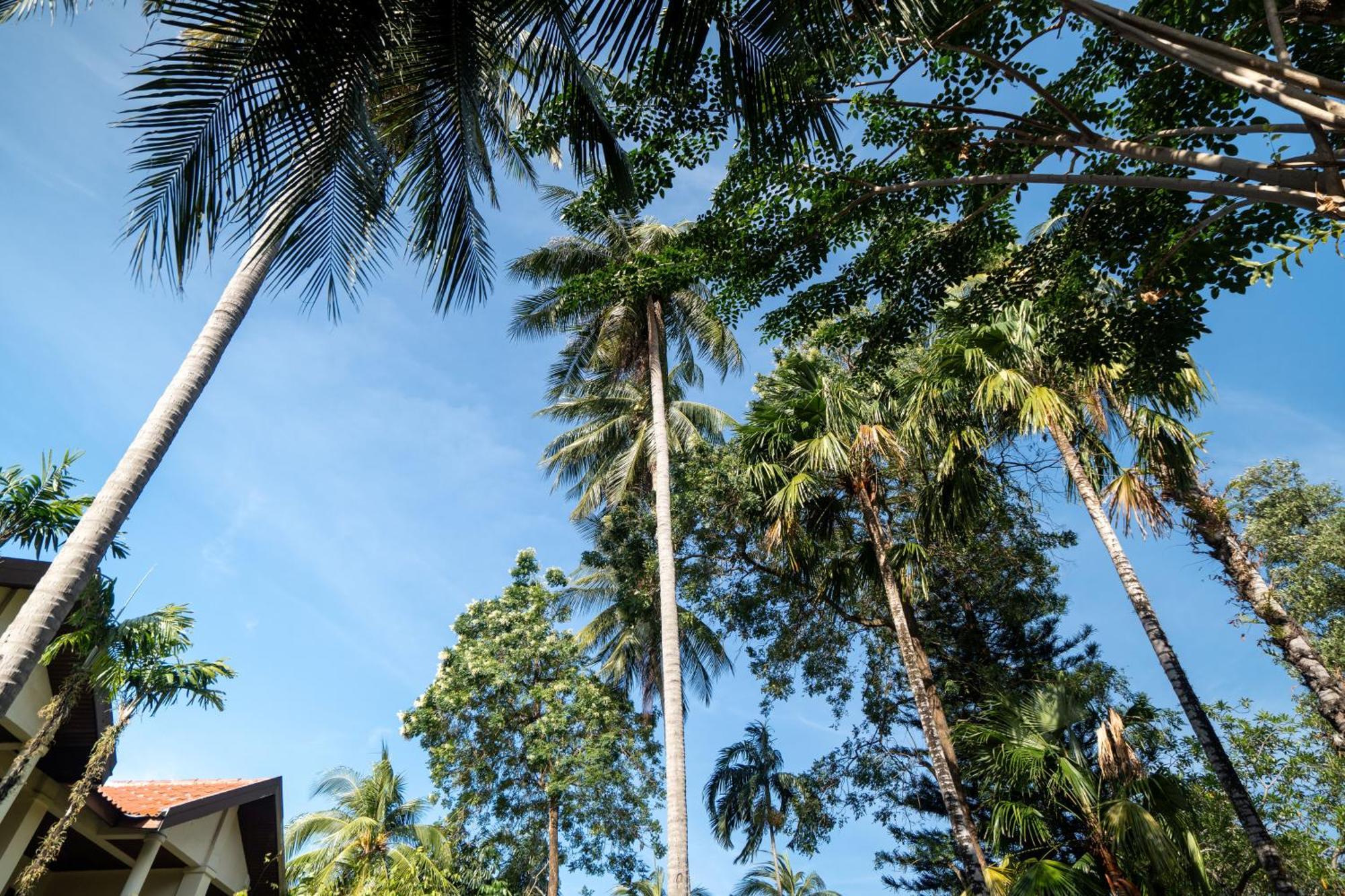 Phuket Leelavadee Hua Ting Resort Patong Extérieur photo